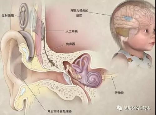 微信图片_20180509145201.jpg